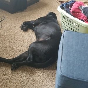 Meet your Posher, Kasi